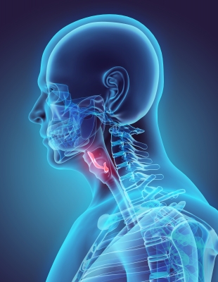 physical and dental health connection